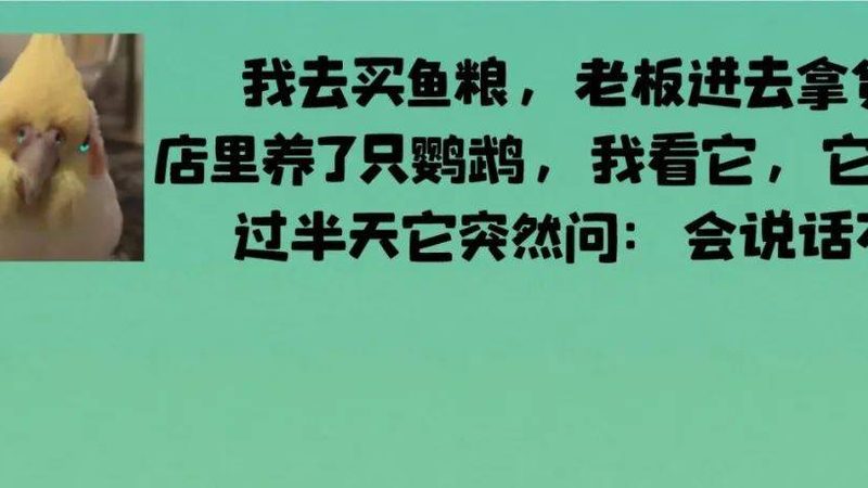 粮油与米面：揭秘两者之间的奥秘